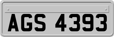 AGS4393