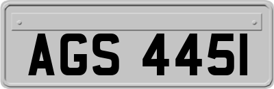 AGS4451