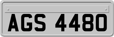 AGS4480