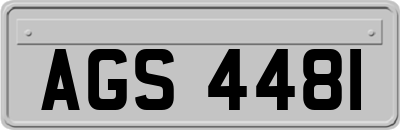 AGS4481