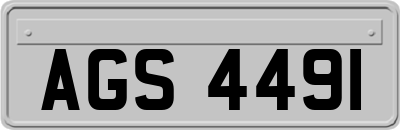 AGS4491