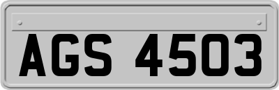 AGS4503