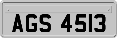 AGS4513