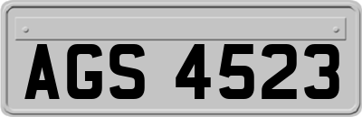 AGS4523
