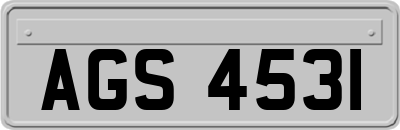 AGS4531