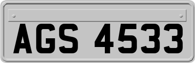 AGS4533