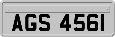 AGS4561
