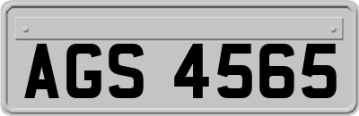 AGS4565