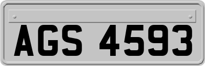 AGS4593
