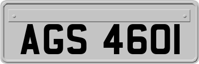 AGS4601