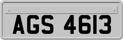 AGS4613