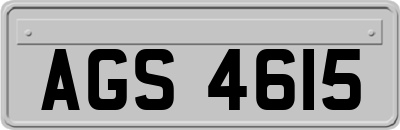AGS4615