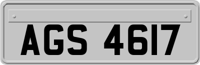 AGS4617