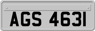 AGS4631