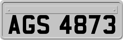 AGS4873