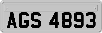 AGS4893