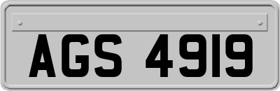 AGS4919