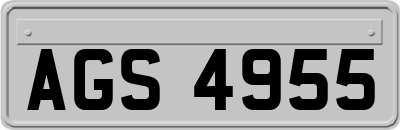AGS4955