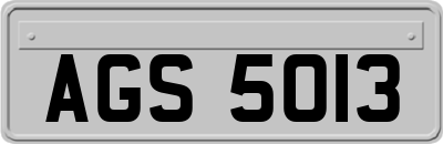 AGS5013