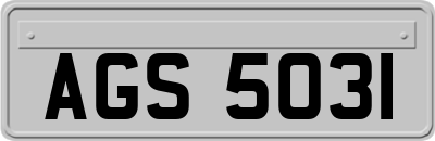 AGS5031