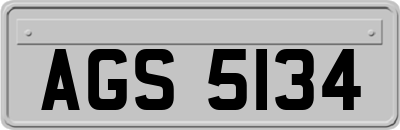 AGS5134