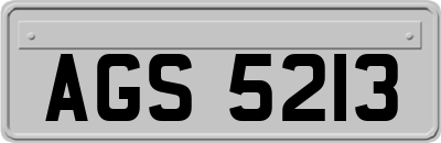 AGS5213
