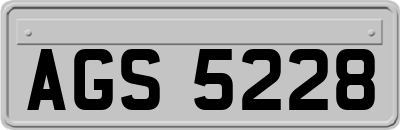 AGS5228