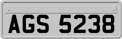 AGS5238