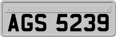 AGS5239