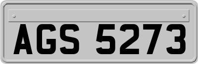AGS5273