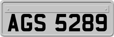 AGS5289