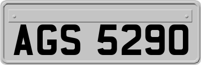 AGS5290