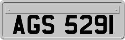 AGS5291