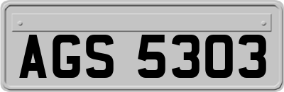 AGS5303