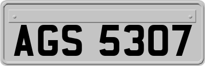 AGS5307
