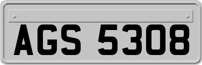 AGS5308
