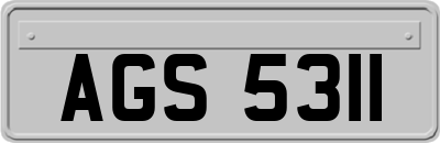 AGS5311