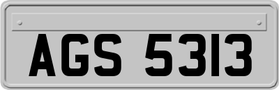 AGS5313
