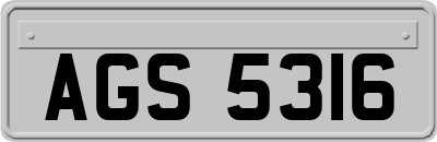 AGS5316