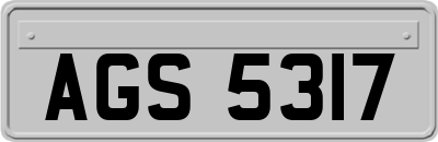 AGS5317