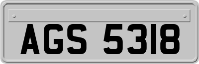 AGS5318