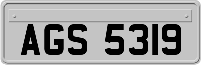 AGS5319