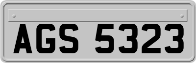 AGS5323