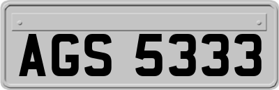 AGS5333