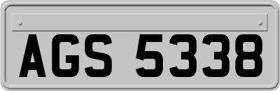 AGS5338