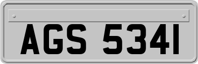 AGS5341