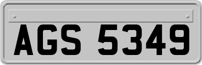 AGS5349