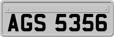 AGS5356