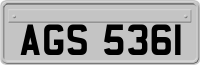 AGS5361