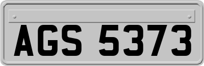 AGS5373